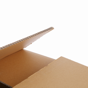 b-c-dalga-dopel-koli-3