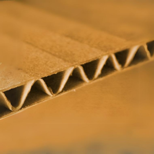 c-iri-dalga-koli-tipi-2